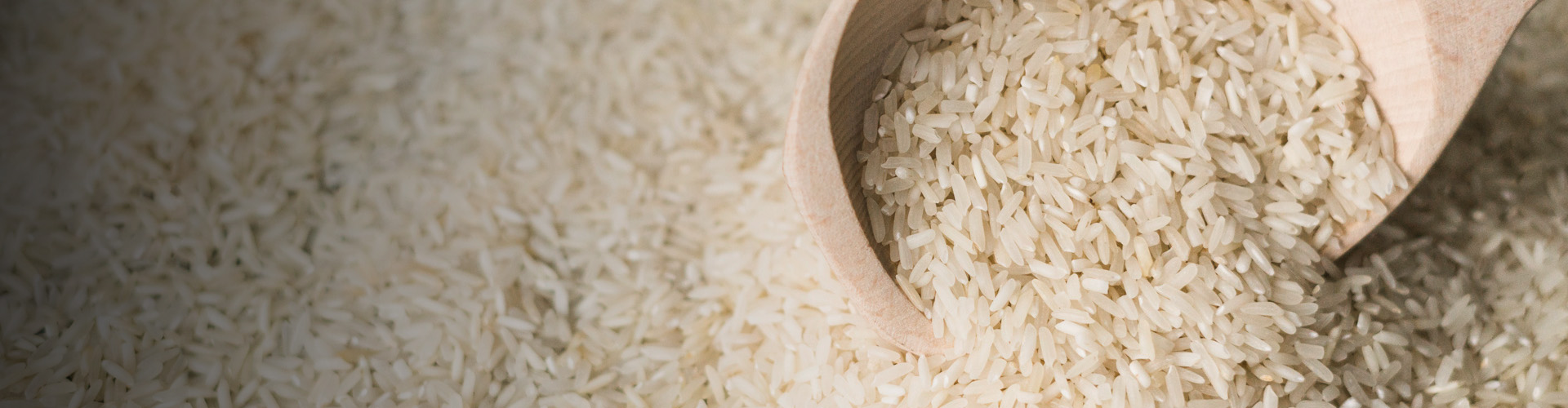 Basmati Rice